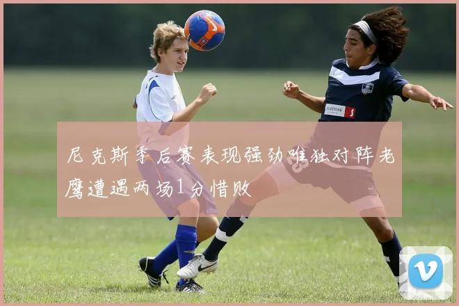 尼克斯季后赛表现强劲唯独对阵老鹰遭遇两场1分惜败