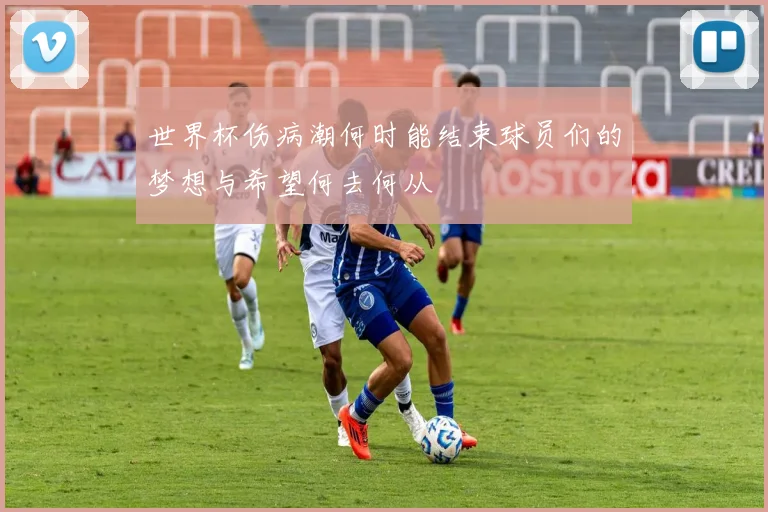 世界杯伤病潮何时能结束球员们的梦想与希望何去何从